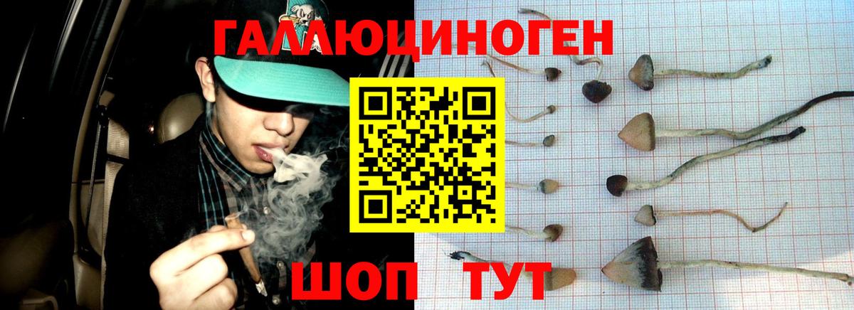 Галлюциногенные грибы прущие грибы Аша