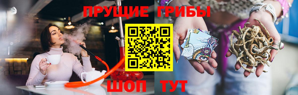 Псилоцибиновые грибы Cubensis  наркота  Аша  Псилоцибиновые грибы мухоморы  Вход с VPN 